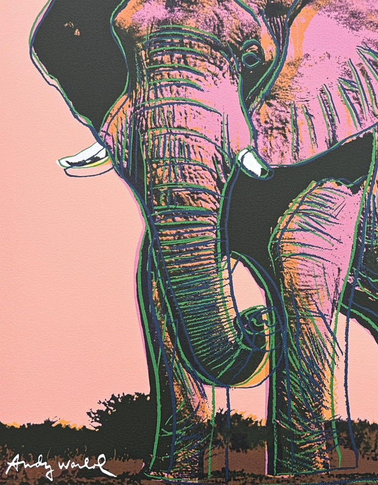 Andy Warhol - Elephant světle oranžové pozadí x/2400 - 60x60 cm, limitovaná edice CMOA s certifikátem