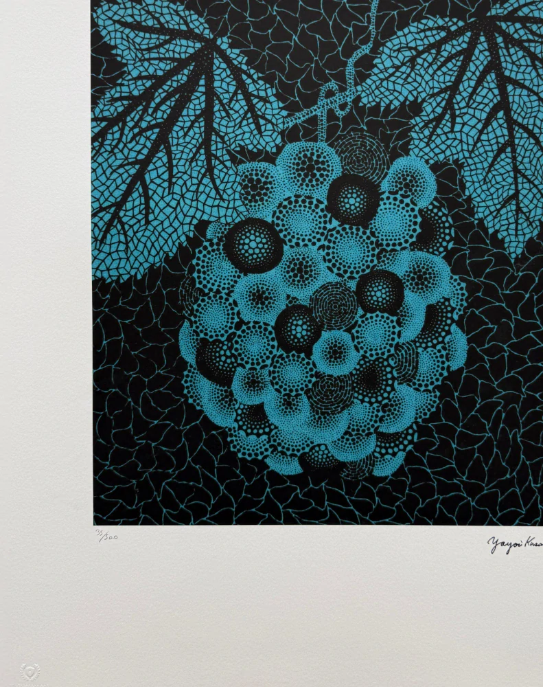 Yayoi Kusama - Grapes II x/500 - signováno, číslovaná edice, 50x65 cm