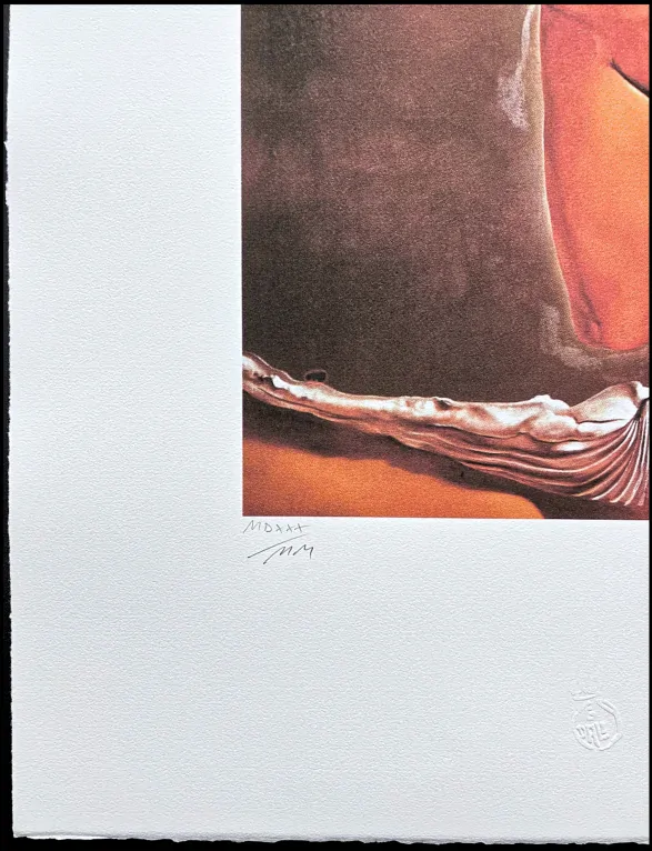 Salvador Dalí - Rhinocerotic Gooseflesh - signováno, limitovaná edice, 50x66cm