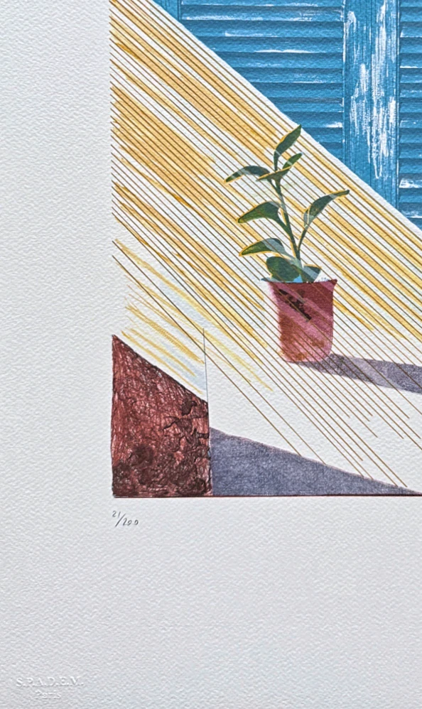 David Hockney - Sun 21/200 - limitovaná edice, s certifikátem, 35x50 cm