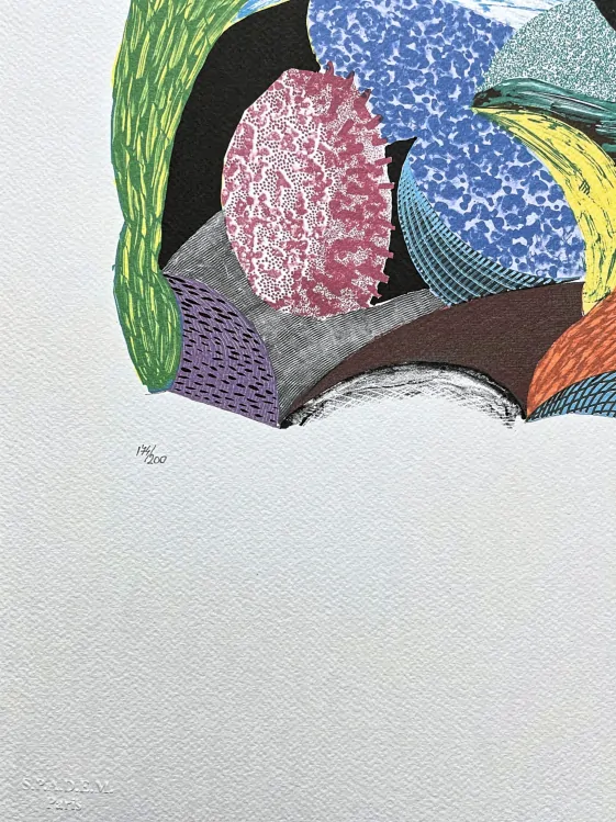 David Hockney - Blue Hang Cliff 174/200 - limitovaná edice, s certifikátem, 35x50 cm