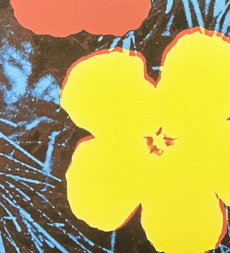 Andy Warhol - Flowers fialovo-žluté x/2400 - 60x60cm, limitovaná edice CMOA s certifikátem