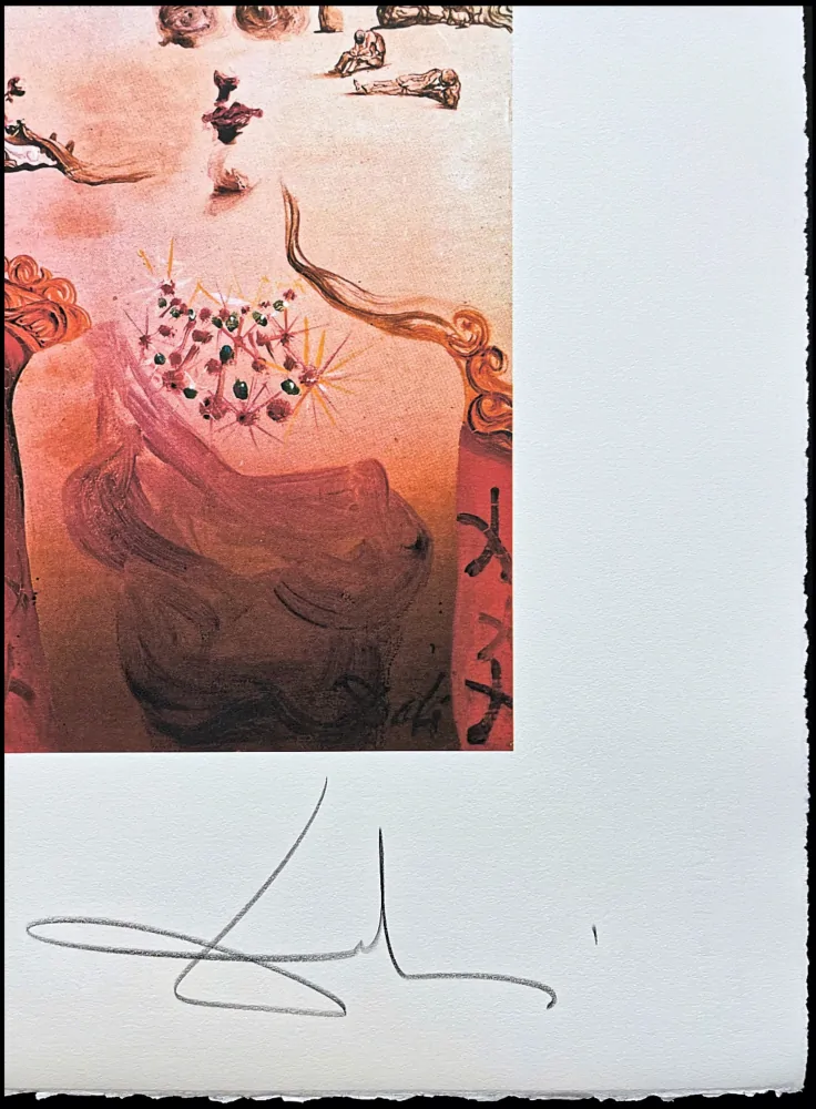 Salvador Dalí - Paranoia - signováno, limitovaná edice, 50x66cm