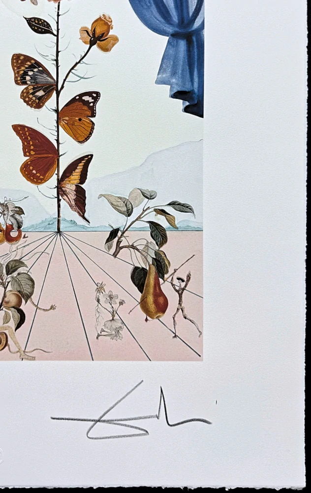 Salvador Dalí - La rose papillon - signováno, limitovaná edice, 50x66cm