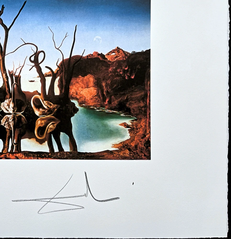 Salvador Dalí - Swans Reflecting Elephants - signováno, limitovaná edice, 50x66cm
