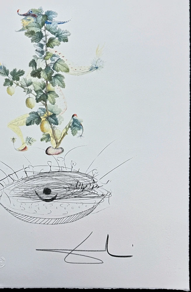 Salvador Dalí - Currant's Reverence - signováno, limitovaná edice, 50x66cm