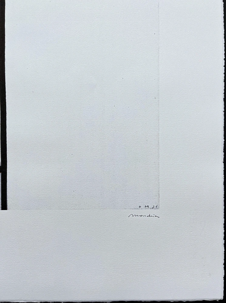 Piet Mondrian - Composition with red and grey 100/200 - signováno, limitovaná edice, 50x66cm