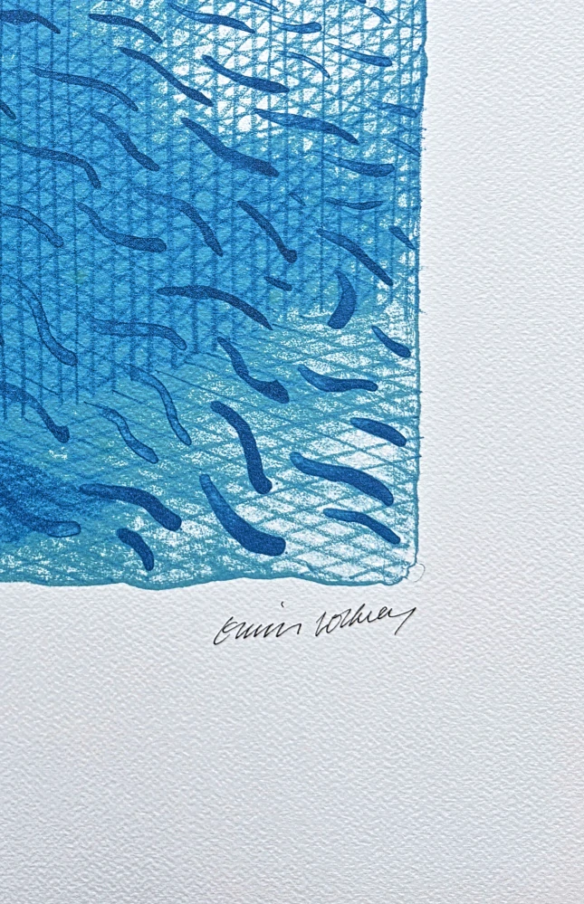 David Hockney - Pool made with paper and blue ink for book 76/200 - limitovaná edice, s certifikátem, 35x50 cm