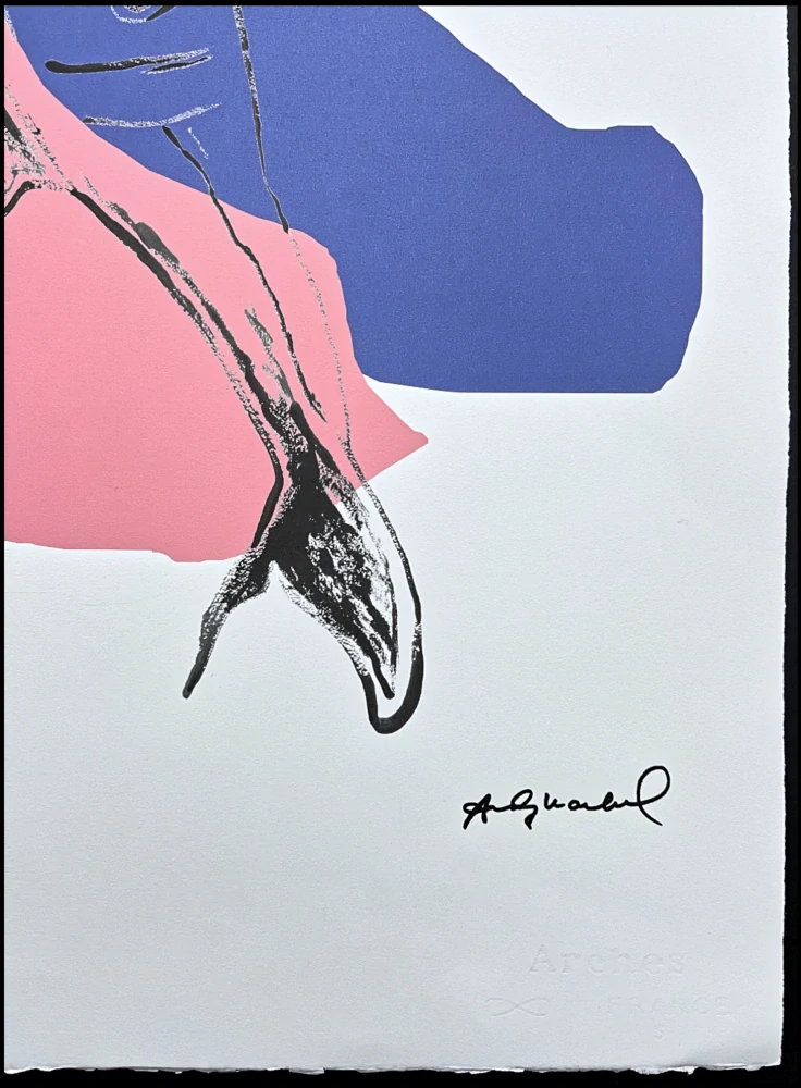 Andy Warhol - Dolphin - růžový 58/100 - edice Leo Castelli s certifikátem