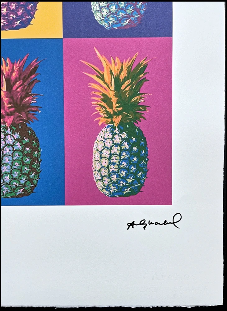 Andy Warhol - Ananas 90/100 - edice Leo Castelli s certifikátem