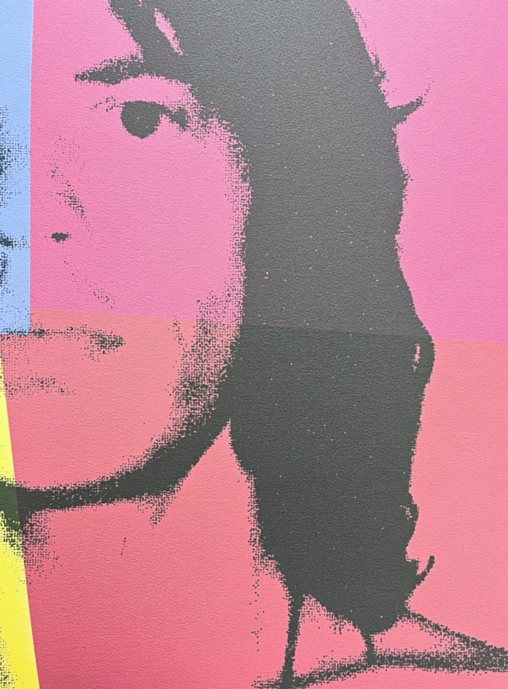 Andy Warhol - Mick Jagger barevný 209/2400 - 60x60 cm, limitovaná edice CMOA s certifikátem
