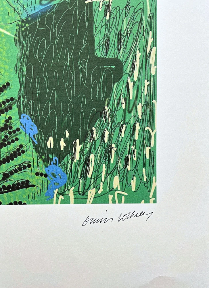 David Hockney - The Yosemite suite no.21 x/500 - limitovaná edice s certifikátem, 35x50 cm