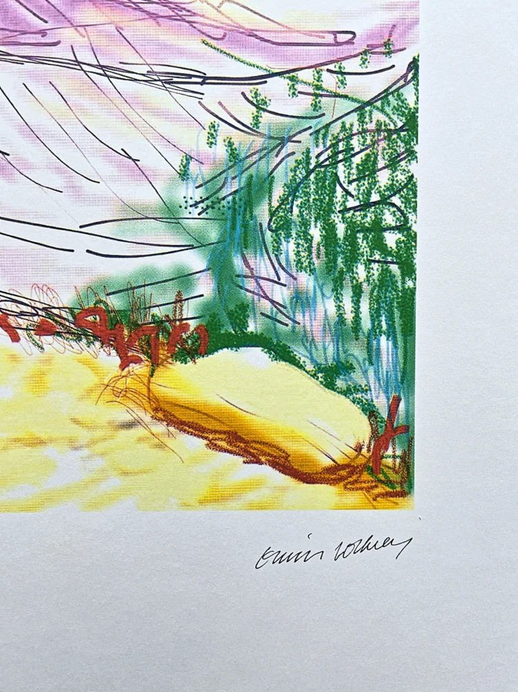 David Hockney - The Yosemite suite - Pink Mountain 58/500 - limitovaná edice s certifikátem, 35x50 cm