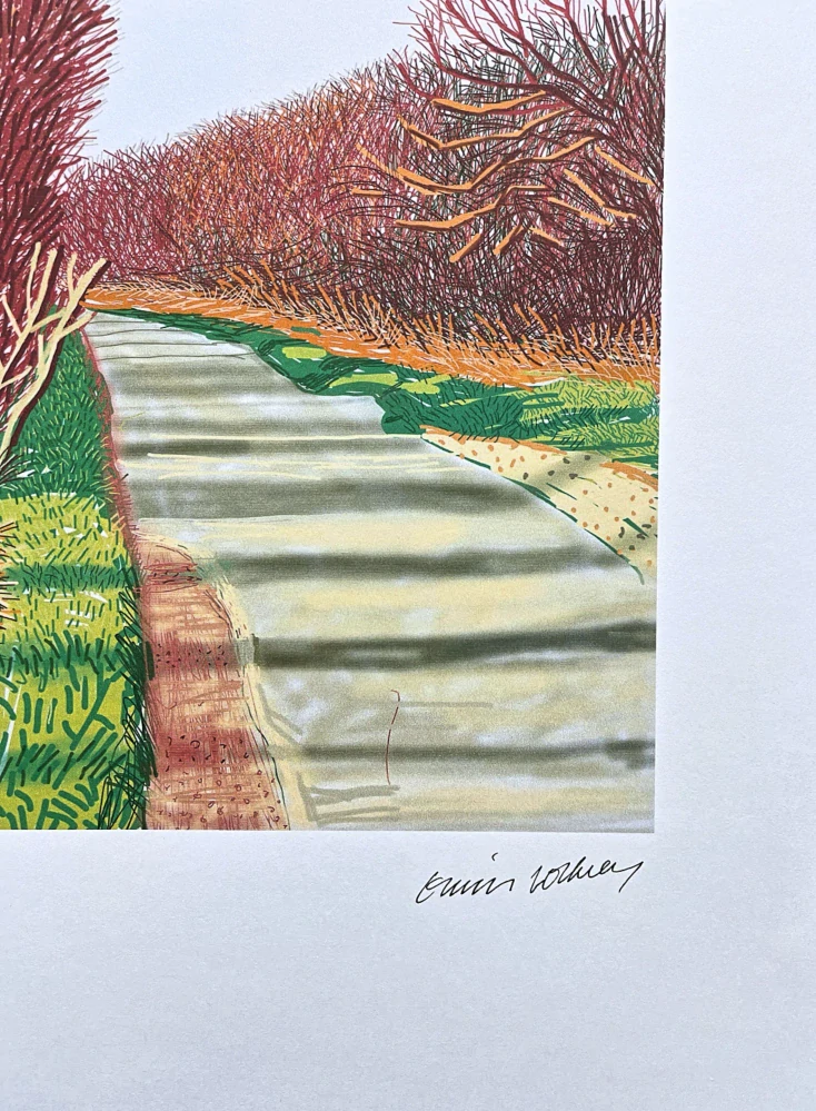 David Hockney - The Yosemite suit with bushes 73/500 - limitovaná edice s certifikátem, 35x50 cm