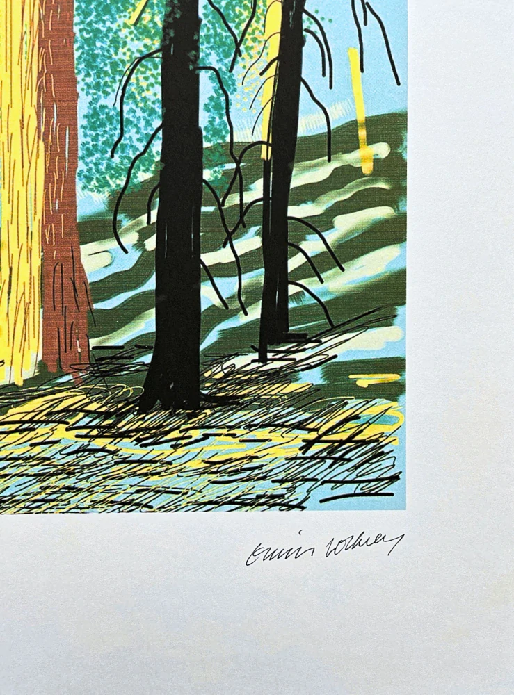 David Hockney - The Yosemite suite no.7 64/500 - limitovaná edice s certifikátem, 35x50 cm