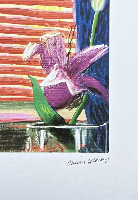 David Hockney - View through the Artist’s bedroom window 18/500 - limitovaná edice s certifikátem, 35x50 cm
