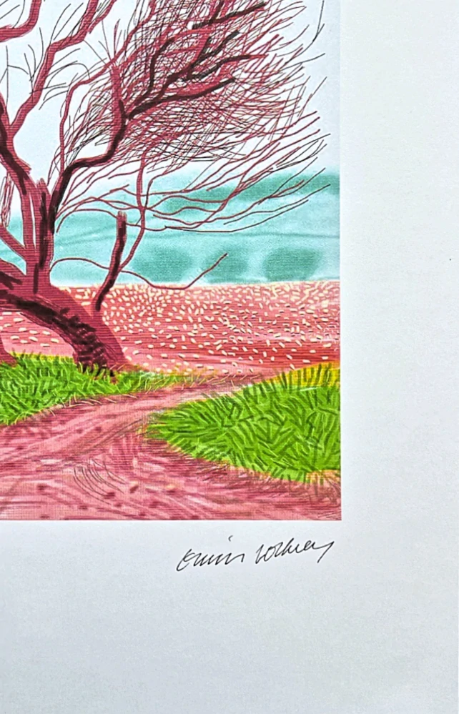 David Hockney - The Arrival of Spring in Woldgate - 18th March x/500 - limitovaná edice s certifikátem, 35x50 cm