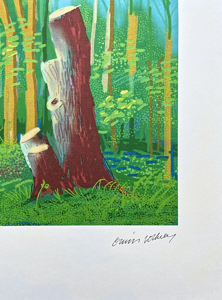 David Hockney - The Arrival of Spring in Woldgate no.24 81/500 - limitovaná edice s certifikátem, 35x50 cm