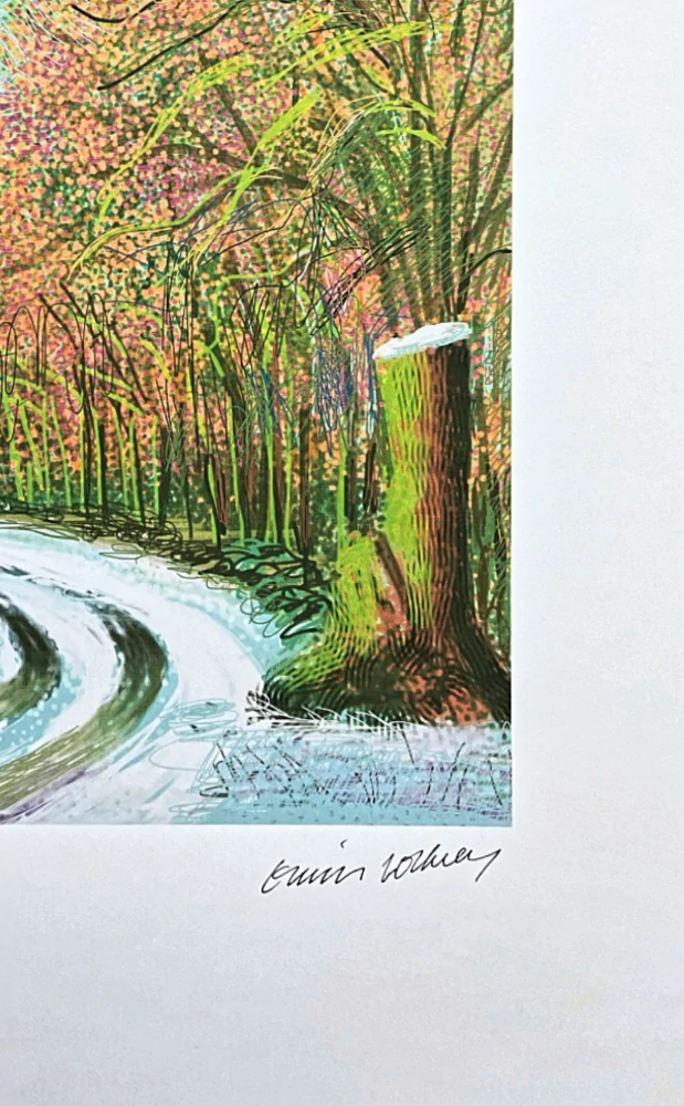 David Hockney - The Arrival of Spring in Woldgate no.8 x/500 - limitovaná edice s certifikátem, 35x50 cm