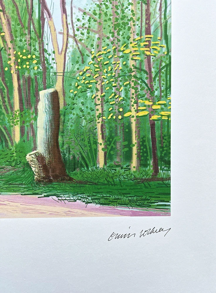 David Hockney - The Arrival of Spring in Woldgate no.13 161/500 - limitovaná edice s certifikátem, 35x50 cm