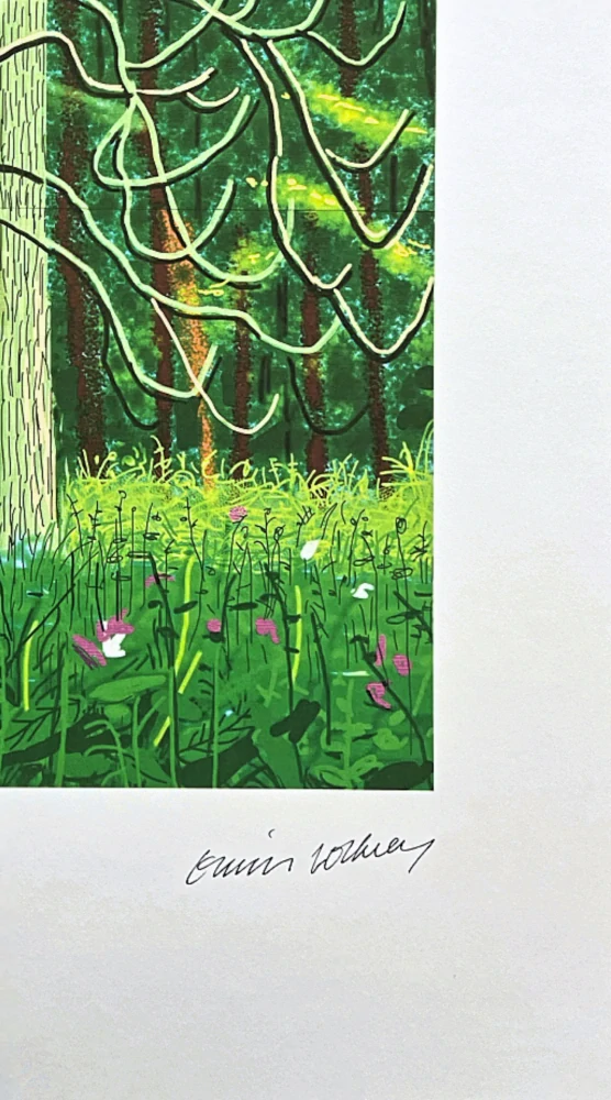 David Hockney - The Arrival of Spring in Woldgate no.17 x/500 - limitovaná edice s certifikátem, 35x50 cm