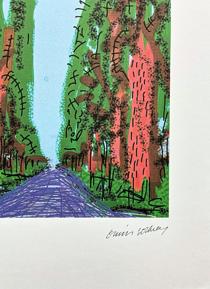 David Hockney - The Yosemite suite no.5 78/500 - limitovaná edice s certifikátem, 35x50 cm