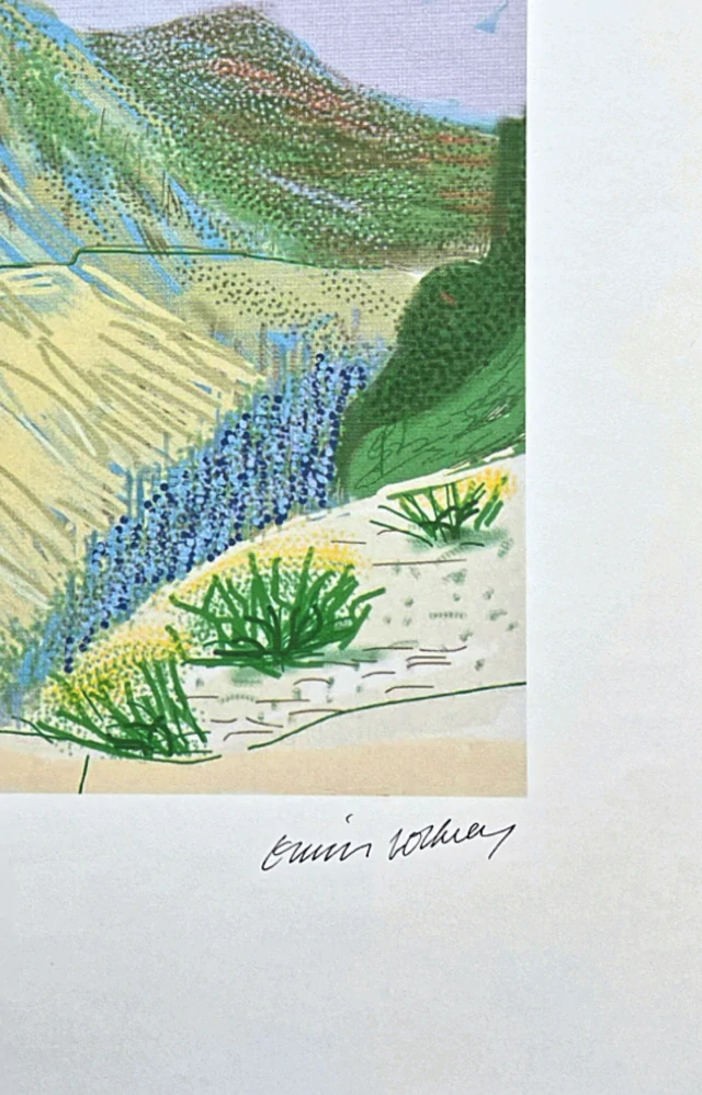 David Hockney - Mountains with green Building 58/500 - limitovaná edice s certifikátem, 35x50 cm
