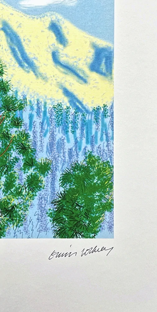 David Hockney - The Yosemite suite no.9 119/500 - limitovaná edice s certifikátem, 35x50 cm