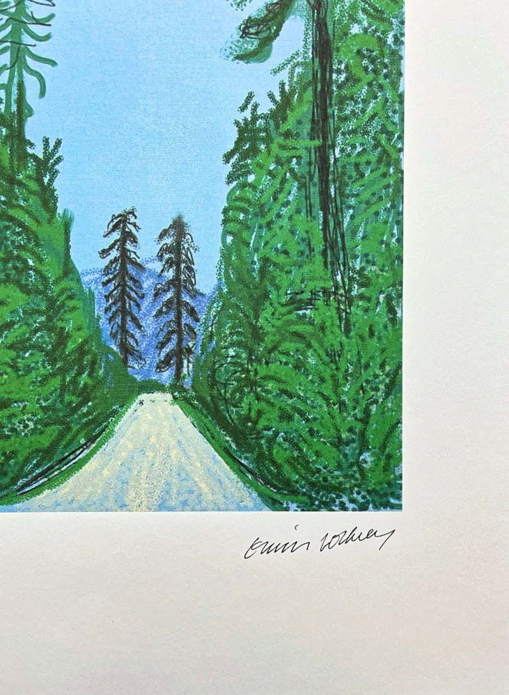 David Hockney - Trees in the Wood x/500 - limitovaná edice s certifikátem, 35x50 cm