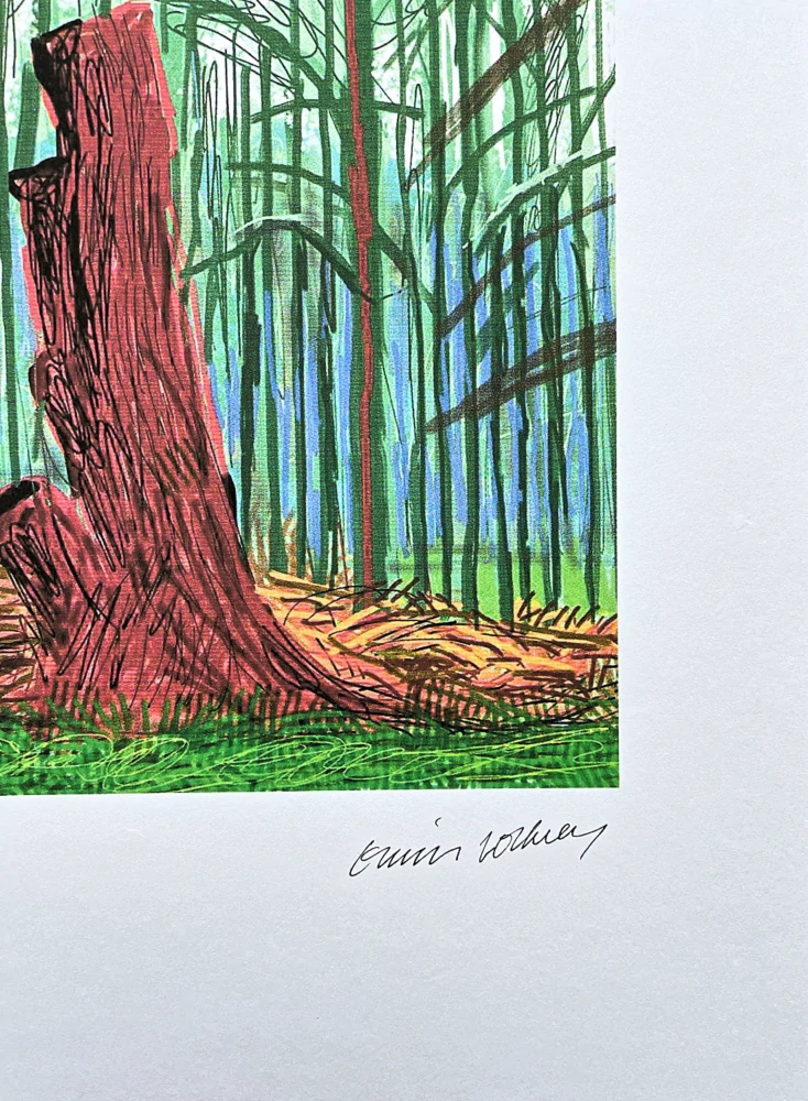 David Hockney - The Arrival of Spring in Woldgate 20th February 100/500 - limitovaná edice s certifikátem, 35x50 cm