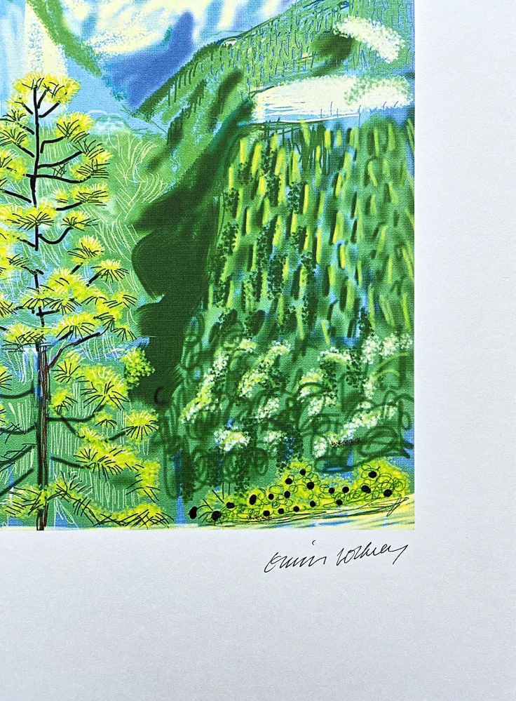 David Hockney - The Yosemite suite no.20 41/500 - limitovaná edice s certifikátem, 35x50 cm