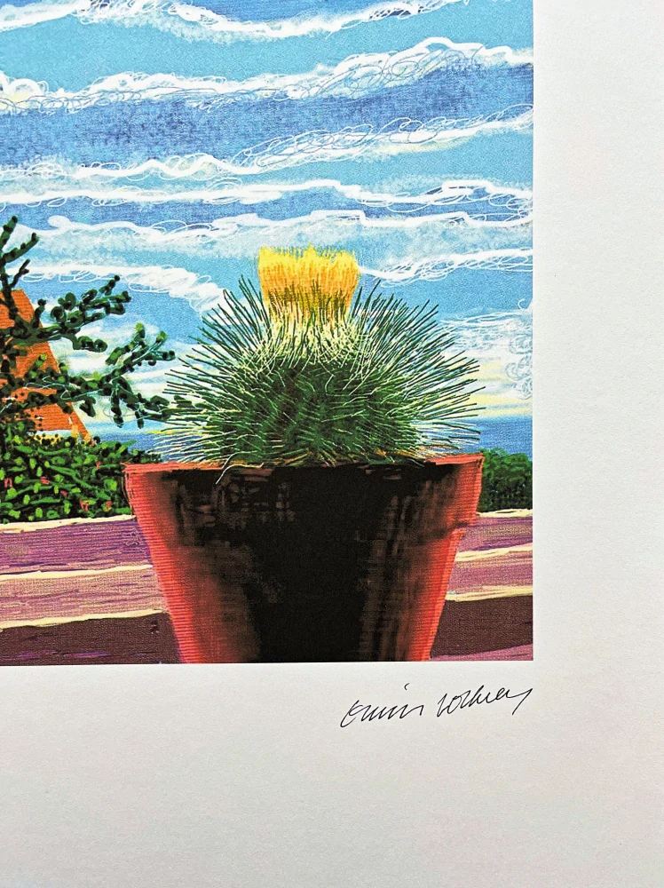 David Hockney - Cactus with Yellow Flowers 41/500 - limitovaná edice s certifikátem, 35x50 cm