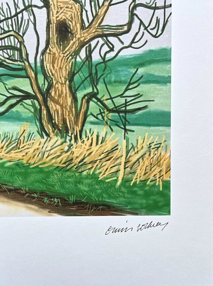 David Hockney - The Arrival of Spring in Woldgate - Willow 99/500 - limitovaná edice s certifikátem, 35x50 cm
