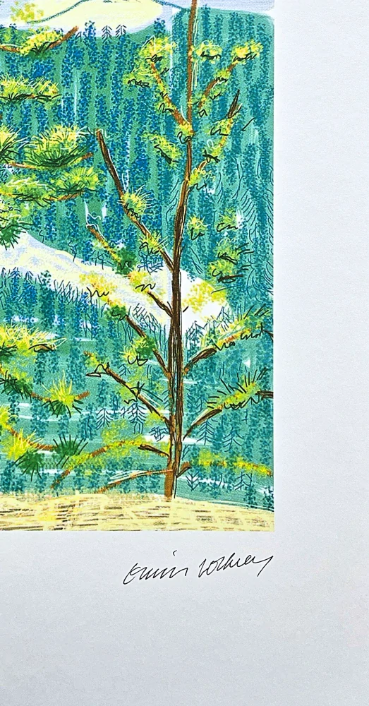 David Hockney - The Yosemite suite no.8 60/500 - limitovaná edice s certifikátem, 35x50 cm