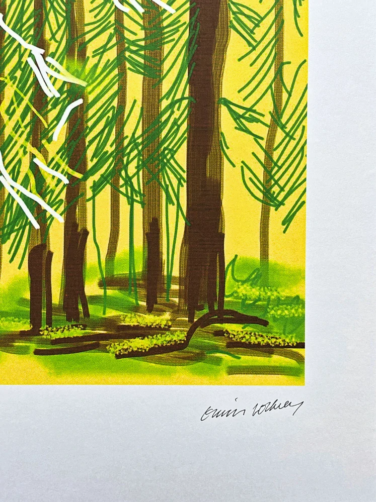 David Hockney - The Yosemite suite - Trees on a green Background 56/500 - limitovaná edice s certifikátem, 35x50 cm