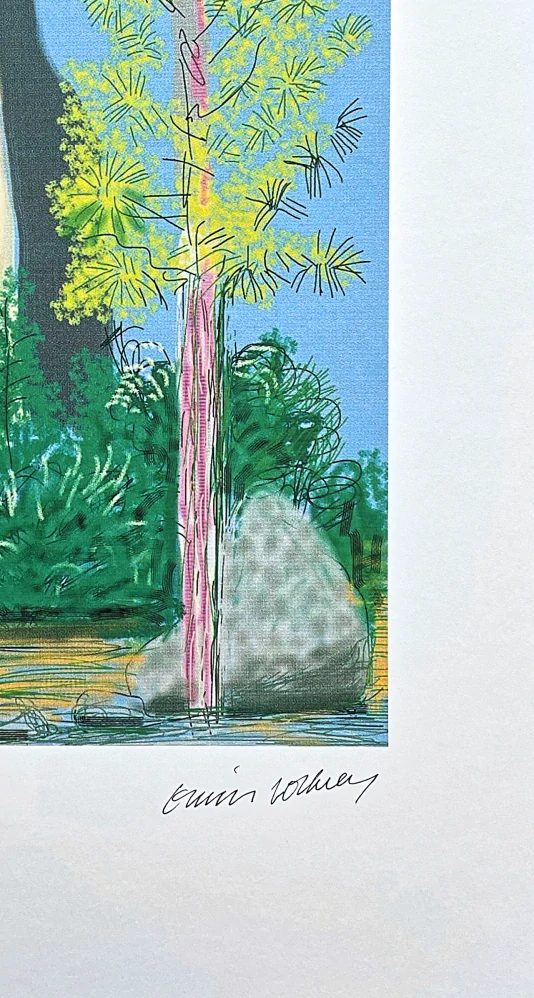 David Hockney - The Yosemite suite no.22 x/500 - limitovaná edice s certifikátem, 35x50 cm