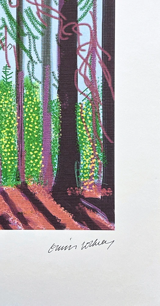 David Hockney - The Yosemite suite no.4 155/500 - limitovaná edice s certifikátem, 35x50 cm