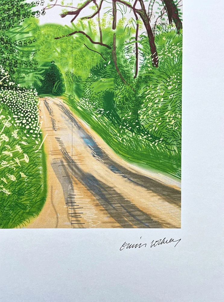 David Hockney - The Arrival of Spring in Woldgate 16th May - Road in spring x/500 - limitovaná edice s certifikátem, 35x50 cm