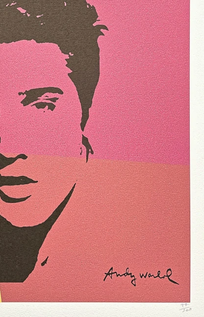 Andy Warhol - Elvis Presley v barevných obdélnících 94/500 - signováno, 50x50cm, limitovaná edice CMOA s certifikátem