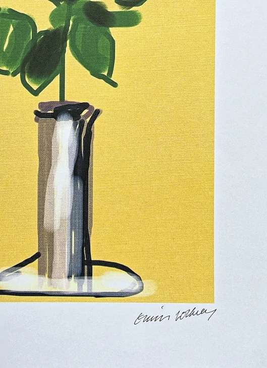 David Hockney - White Rose 79/500 - limitovaná edice, s certifikátem, 35x50 cm