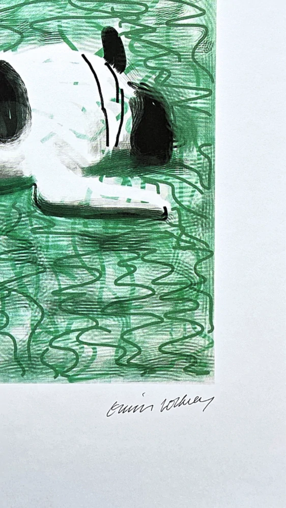 David Hockney - Moujik 14/500 - limitovaná edice, s certifikátem, 35x50 cm