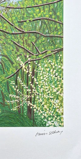 David Hockney - The Arrival of Spring in Woldgate - Trees with Road x/500 - limitovaná edice, s certifikátem, 35x50 cm