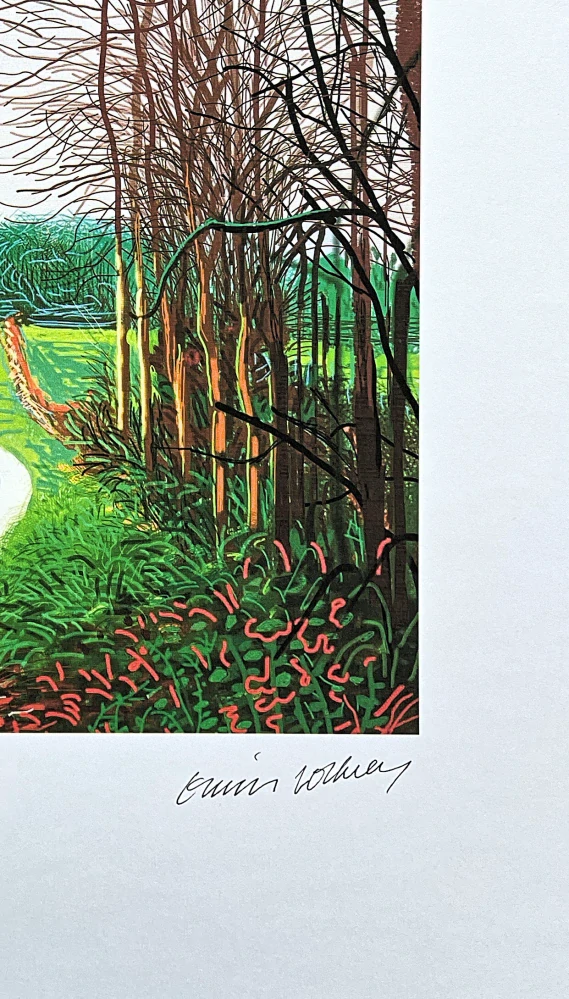 David Hockney - The Arrival of Spring in Woldgate 29th December 63/500 - limitovaná edice s certifikátem, 35x50 cm