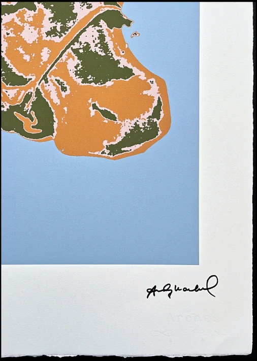 Andy Warhol - Cow modro-oranžová 93/100 - edice Leo Castelli s certifikátem