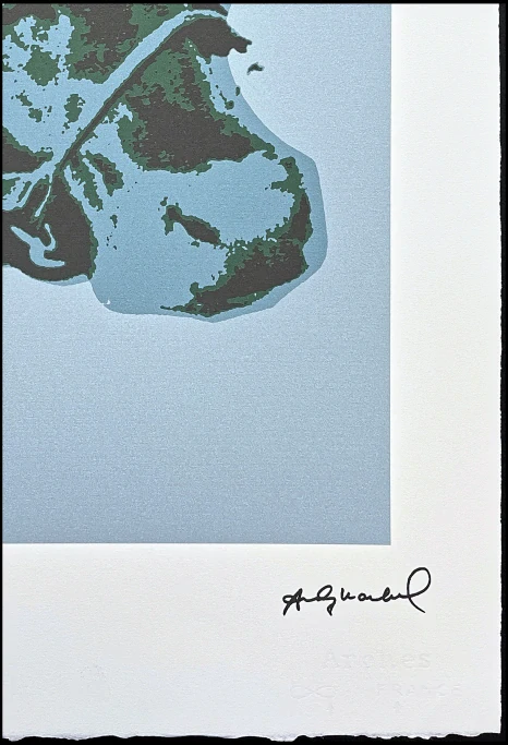 Andy Warhol - Cow zelená světlá 44/100 - edice Leo Castelli s certifikátem