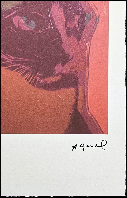 Andy Warhol - The Great Cat Head růžová x/100 - edice Leo Castelli s certifikátem