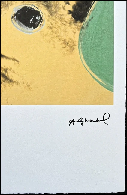 Andy Warhol - Cat žluto-zelená 4/100 - edice Leo Castelli s certifikátem