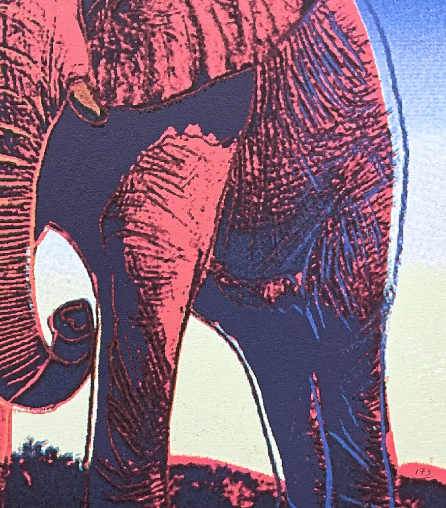 Andy Warhol - Elephant na modro-bílém pozadí 173/2400 - 60x60 cm, limitovaná edice CMOA s certifikátem