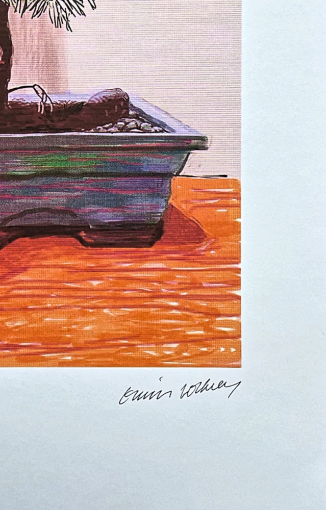 David Hockney - Bonsai 158/500 - limitovaná edice s certifikátem, 35x50 cm