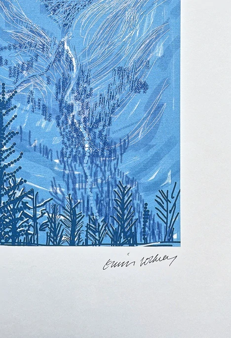 David Hockney - Yosemite in blue x/500 - limitovaná edice s certifikátem, 35x50 cm